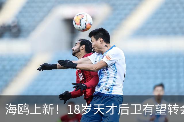 海鸥上新！18岁天才后卫有望转会英格兰，天赋顶级布莱顿要买