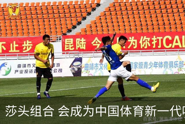 莎头组合 会成为中国体育新一代吸金王吗